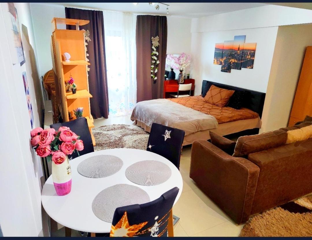 Studioul De Vis Apartment Brasov Exterior photo